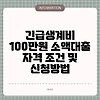 긴급생계비 100만원 소액대출  자격 조건 및 신청방법