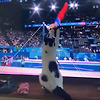 올림픽을 즐기는 고양이