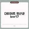 다이어트 유산균 bnr17