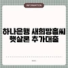 하나은행 새희망홀씨 햇살론 추가대출