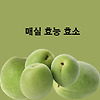 매실  효능 제철과일 6월