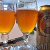 스팀브루 임페리얼 IPA 맥주 (Steam Brew Imperial IPA)