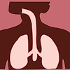 호흡기 계통에 대한 11가지 놀라운 사실들