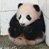 틔터