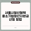 서울시청년혜택 중소기업청년지원금 신청 방법