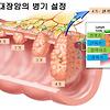 대장암 예방방법에 대한 모든 것