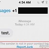 Apple, iOS 8.3 베타 메시지 응용 프로그램애 스팸 신고 기능 추가