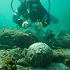 바스쿠 다 가마의 난파선과 보물, 오만 앞바다에서 발견