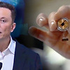 전뇌화 장치 "Neuralink"의 세부 사항이 돼지를 사용한 실연에서 밝혀졌다