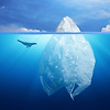 비닐 봉지를 금지하는 것은 해양 오염 방지에 효과있나?