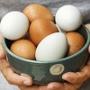 흰 달걀과 갈색 달걀 중 어느쪽이 영양가가 높을까?