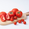 토마토 효능 12가지 알아보기! (부작용, 고르는법)