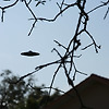 UFO와 조우한 사람이 화상이나 "원인 불명의 임신"을 호소한 것은 사실?