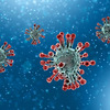 코로나 바이러스 "2개의 변이주"에 동시에 감염되면?