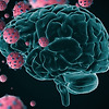 가벼운 코로나 감염에서도 뇌에 손상을 주고 축소시킨다는 연구 결과