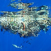 2050년의 바다는 물고기가 아니라 플라스틱이 넘쳐난다