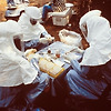 획기적인 "에볼라 백신" 개발! 원숭이 실험에서 효과 확인