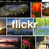 사진 투고 SNS "Flickr"의 단연 인기 카메라는 iPhone