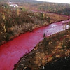 핏빛으로 물든 강, 러시아에서 큰 문제