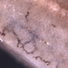 인골로 만든 2700년전 문신용 도구 발견