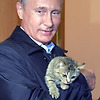 이번에는 동물? 푸틴은 동물용 백신의 개발을 발표, 올가을에 나올 예정