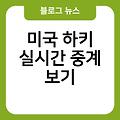 미국 하키 하이라이트 고화질생중계바로가기 경기일정 실시간중계보기 경기정보