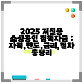 2025 저신용 소상공인 정책자금 : 자격,한도,금리,절차 총정리