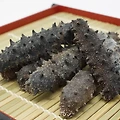 해삼(Sea cucumber) 바다의 완벽한 영양 보충제!!