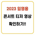 2023 임영웅 전국투어 콘서트 영상(티저) 확인하기