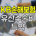 KB손해보험 유산수술비 특약 완벽 분석