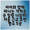 아이와 함께 떠나는 가까운 곳 힐링 나들이: 서울 근교 추천 명소 5곳