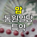 암 통원일당 특약의 실효성과 선택 기준