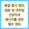 봄철 황사 원인, 영향 및 대처법 건강하게 봄나기를 위한 필수 정보