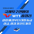 국제탁구연맹(ITTF)의 WTT(World Table Tennis) 총정리: 설립 배경부터 대회 등급, 상금, 랭킹 포인트까지