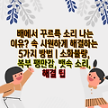 배에서 꾸르륵 소리 나는 이유? 속 시원하게 해결하는 5가지 방법 | 소화불량, 복부 팽만감, 뱃속 소리, 해결 팁