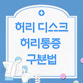 허리디스크와 허리 통증 구분법 총정리