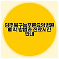 광주북구늘푸른요양병원 예약 방법과 진료시간 안내