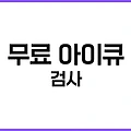 무료 아이큐 검사, 정확할까? 실제 IQ 테스트 사이트 비교 분석