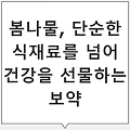 달래 효능: 혈액순환을 돕는 봄나물의 건강 효과, 봄철 건강 지킴이