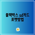 블랙박스 sd카드 포맷방법
