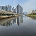 🌸 온천천 벚꽃 나들이, 따뜻한 커피 한 잔과 함께한 봄날 힐링