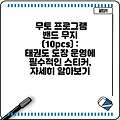 무토 프로그램 밴드 무지 (10pcs) : 태권도 도장 운영에 필수적인 스티커, 자세히 알아보기