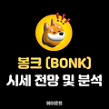 솔라나 밈코인 봉크 (BONK) 코인 시세 전망 및 분석