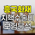 흥국화재 치핵수술비 보험, 치루 보장 여부와 특징 분석