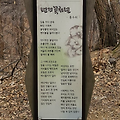 홍수희 - 팬지꽃처럼