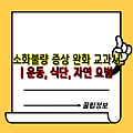 소화불량 증상 완화 교과서 | 운동, 식단, 자연 요법