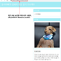 웹 사이트 주소 URL 이해하기 - https, www, Domain, IP주소