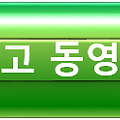 LCC 항공사 고객서비스(CS) 합격 자기소개서 대 공개