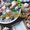 조개류 신선도 판단 방법과 체크리스트