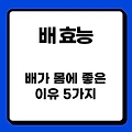 배 효능 - 배가 몸에 좋은 이유 5가지